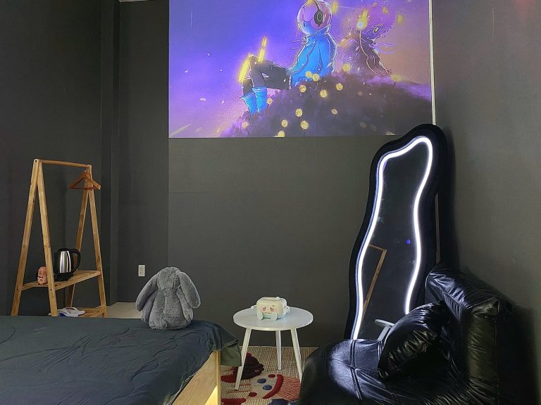 Space X